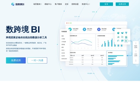 数跨境 BI