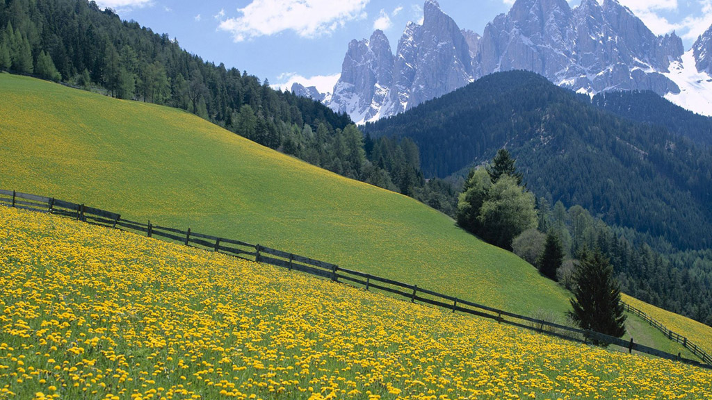 OneNav导航主题主菜单设置说明