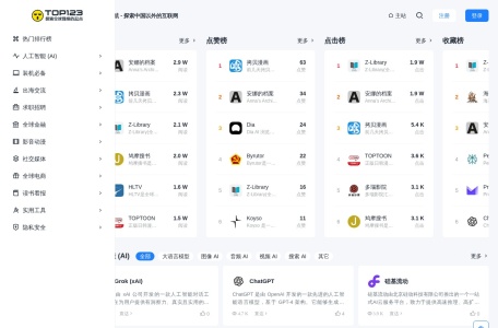 TOP123导航