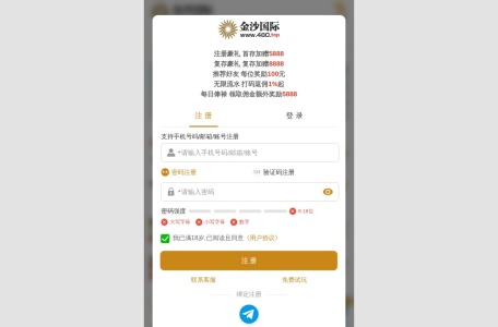 金沙国际
