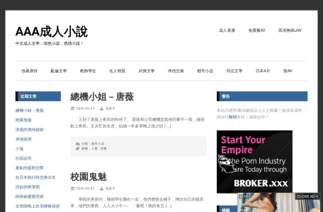 AAA成人小說