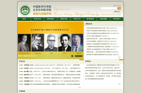 国家发育和功能人脑组织