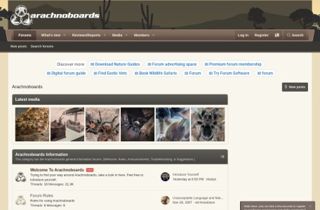 arachnoboards