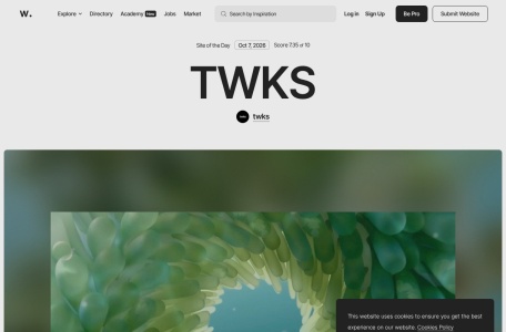 Awwwards 作品集专题
