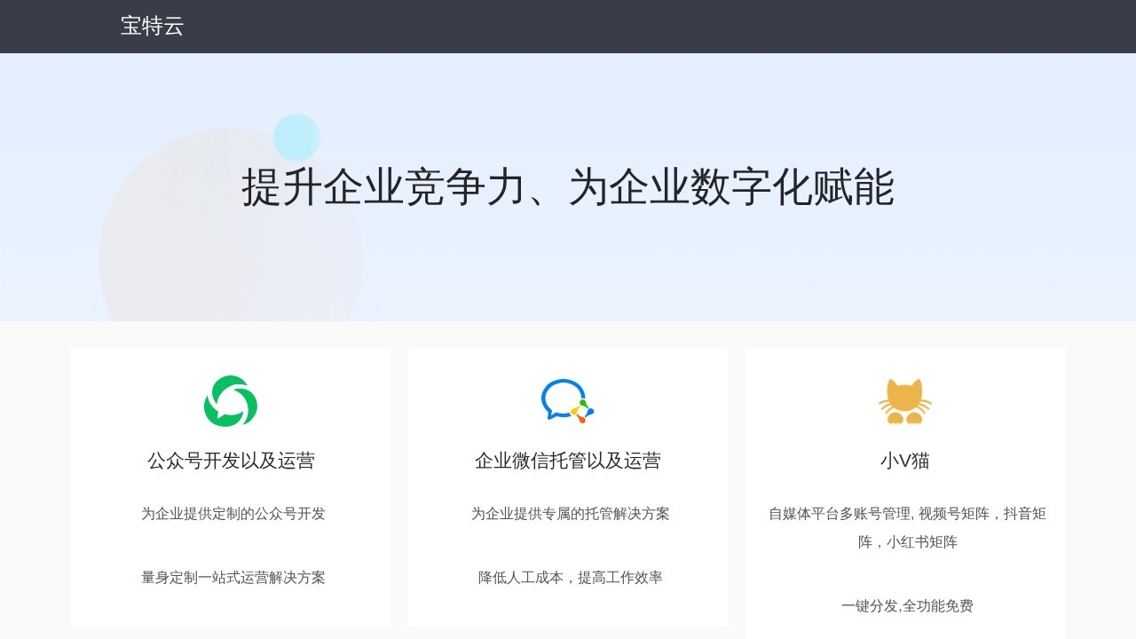 小V猫