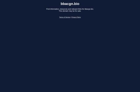 B次元