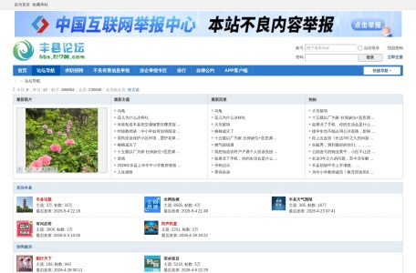 丰县论坛