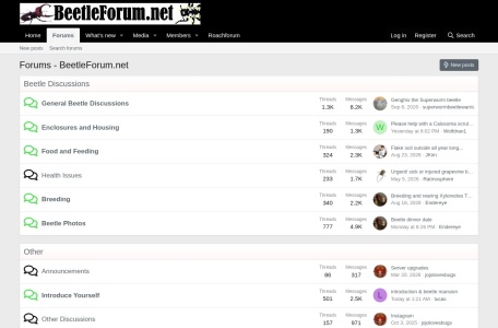 Forums