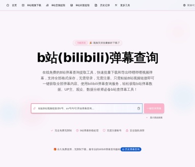 B站弹幕评论查询工具