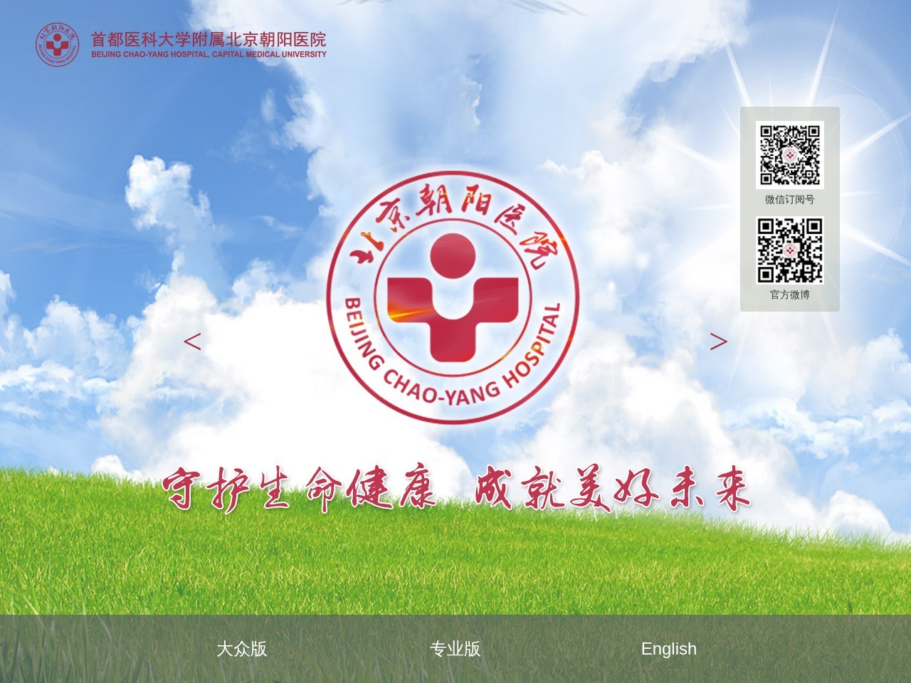 北京朝阳医院网