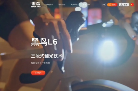 黑鸟单车