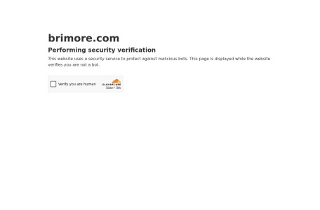 Brimore_埃及新兴电商平台