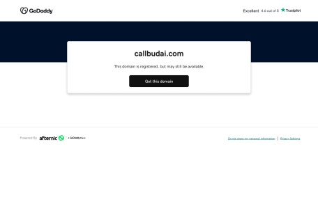 CallBud翻译站点