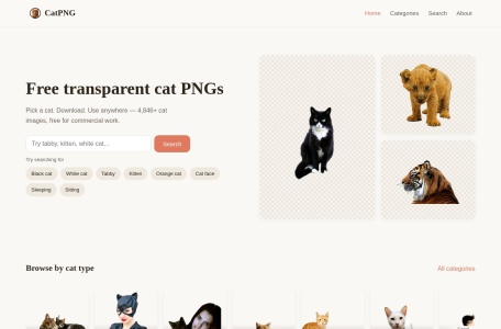 Cat PNG