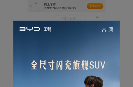 网上车市