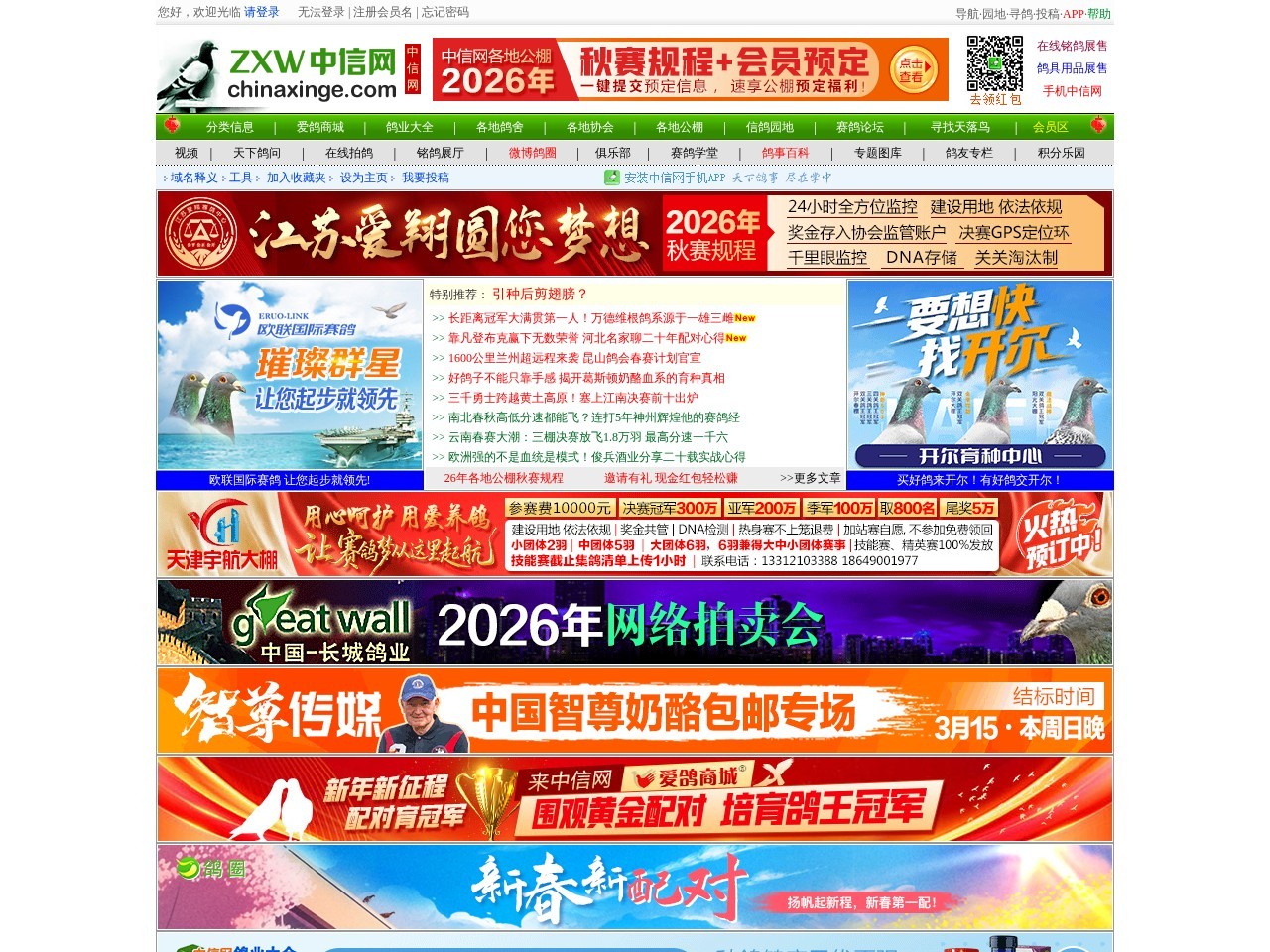 中国信鸽信息网