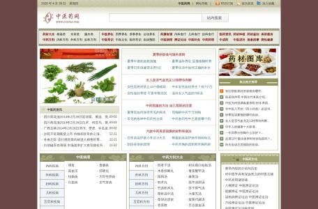 中医药网