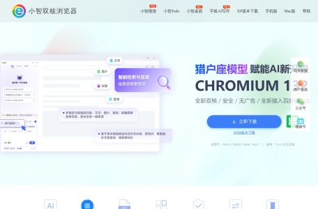 小智双核浏览器
