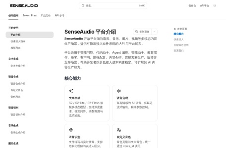 SenseAudio 界面截图