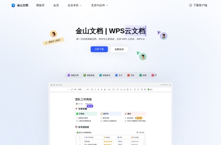 WPS文档