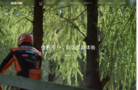 淘宝闪购