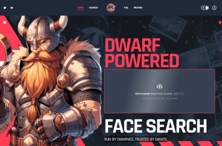 FaceFury