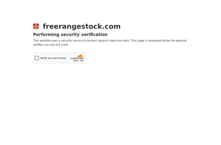 Freerangestock