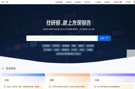发现报告