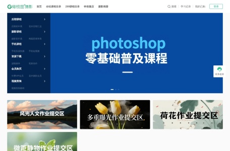 橄榄图摄影