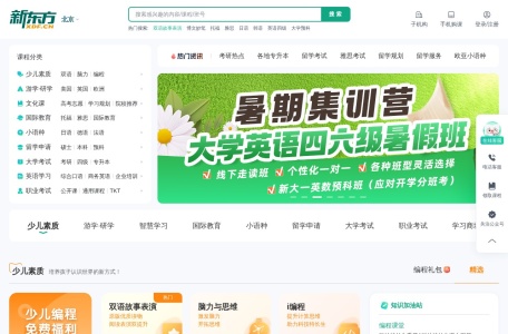 新东方高考招生网