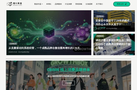 增长黑盒