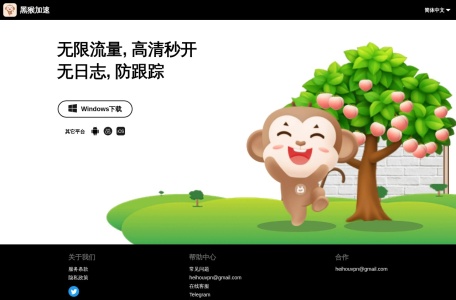 黑猴加速