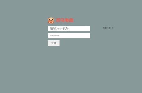 河马电商
