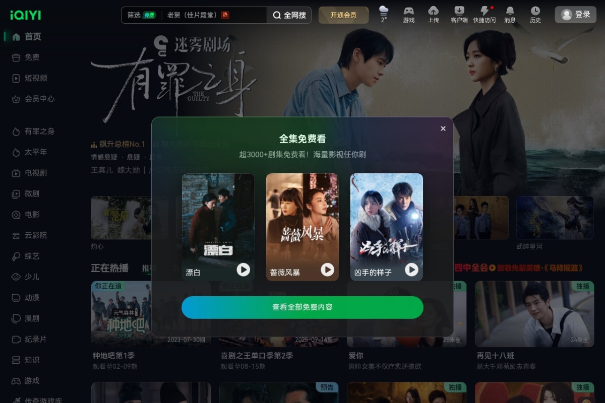 爱奇艺 站点截图