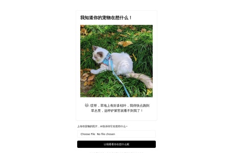 我知道你的宠物在想什么！