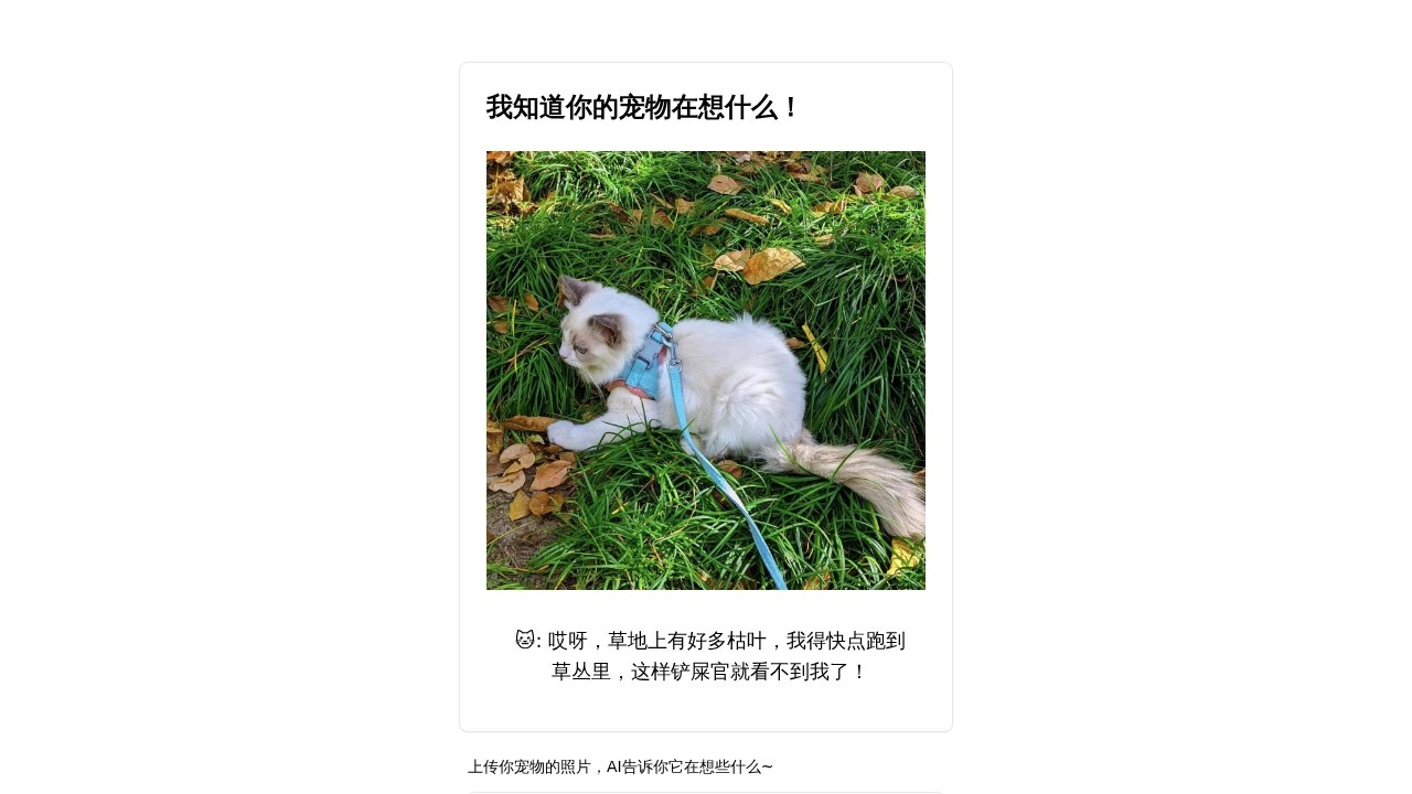 我知道你的宠物在想什么！
