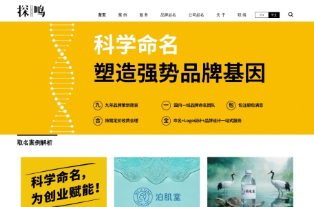 探鸣品牌策划