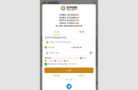 金沙国际
