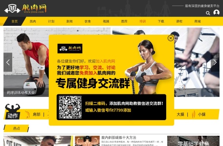 肌肉网