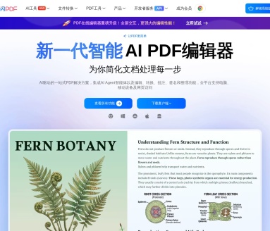 轻闪PDF