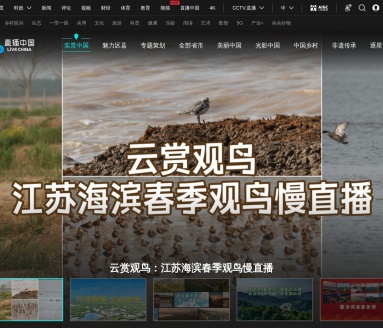 直播中国