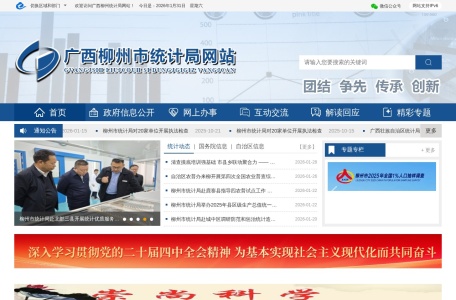 广西柳州统计局网站