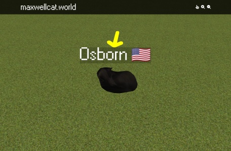 Maxwellcat World