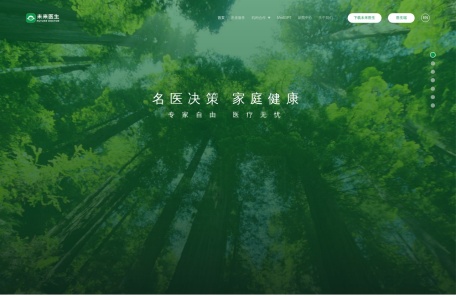 医联 MedGPT