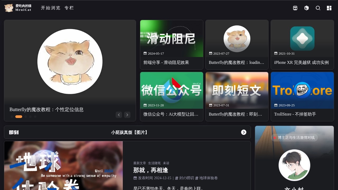 爱吃肉的猫
