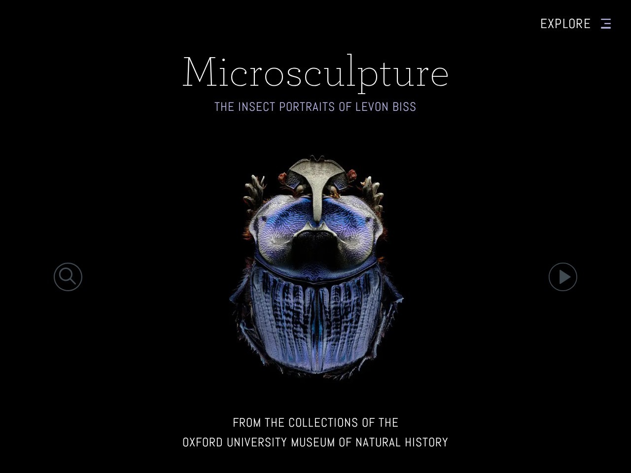 Microsculpture