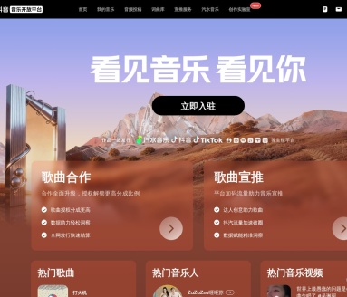 抖音音乐开放平台
