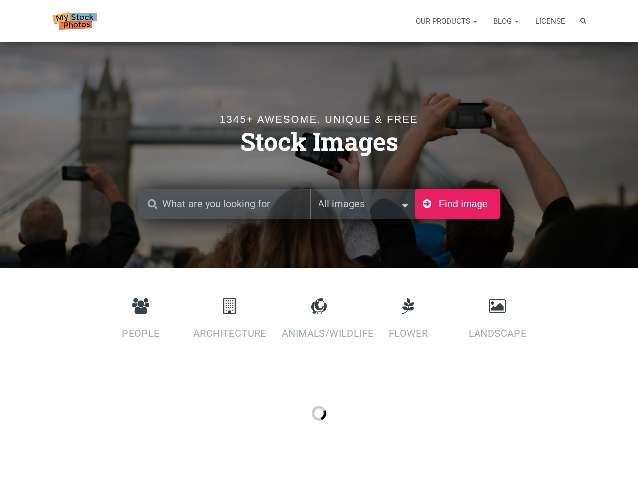 My Stock Photos
