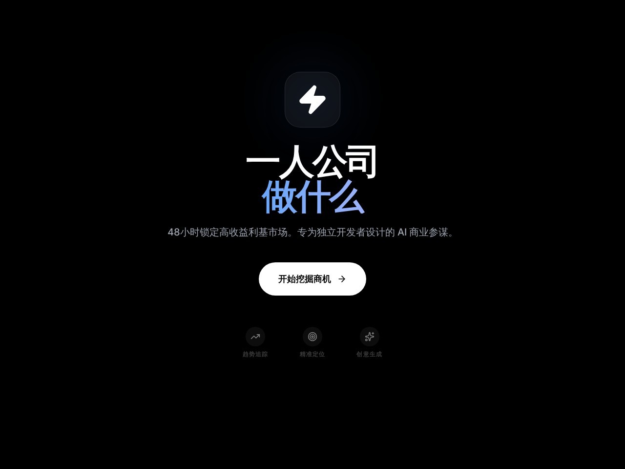 一人公司做什么