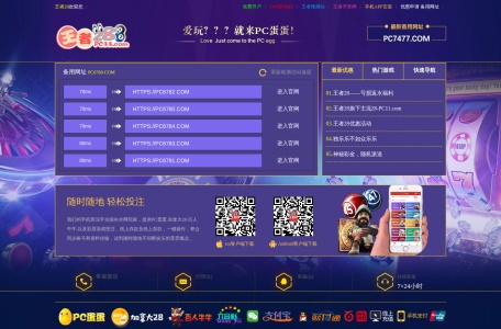 王者28